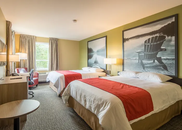 Super 8 By Wyndham Mont Laurier