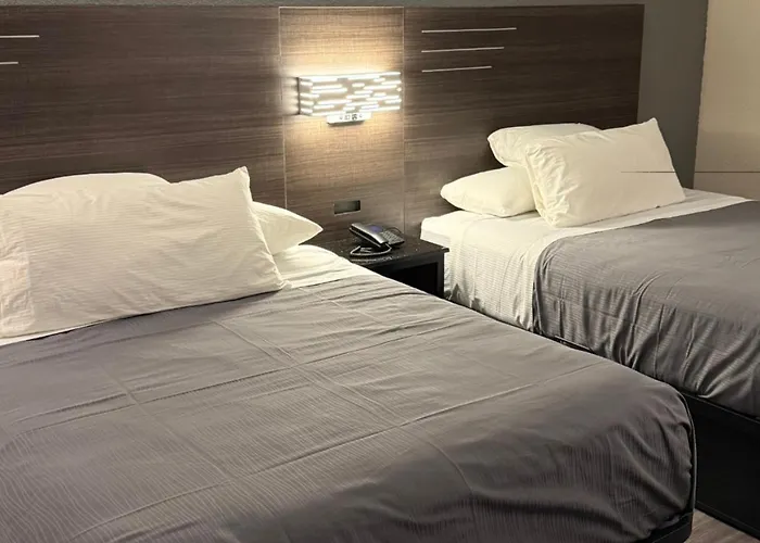 Lx Hotel, Surestay Collection By Best Western