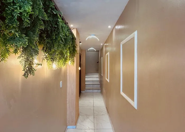 Rino Suites