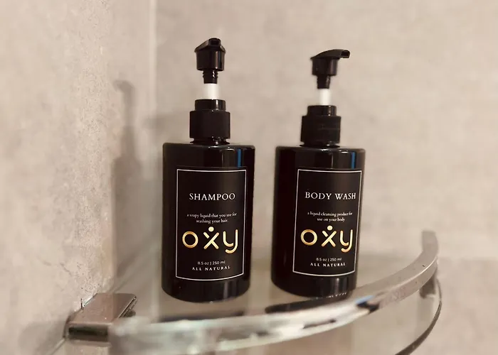 Oxy Suites 1-06 At Shophouse Meisterstadt Pollux Habibie