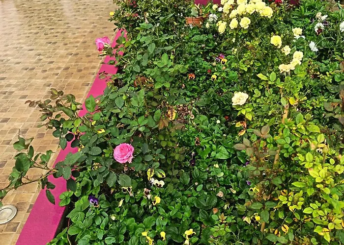Rose House