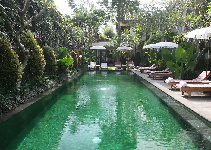 Sapodilla Ubud