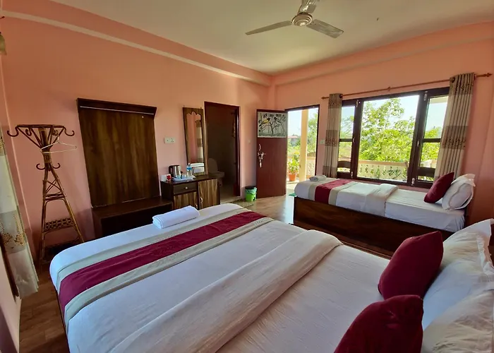 Hotel Tree Tops- A Serene Friendly Hotel In Sauraha