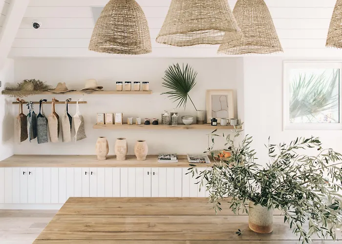 The Surfrider Malibu