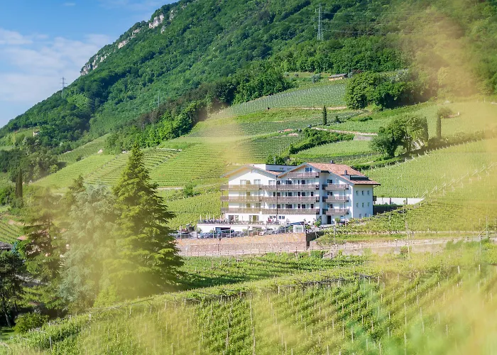 Residence Garni Hotel Vineus