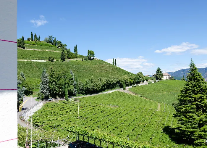 Vineus Tramin