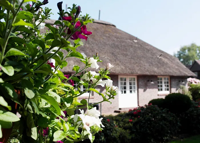 Hotel Blauer Fasan