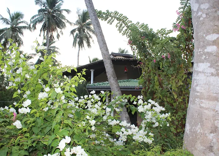 All View Resort