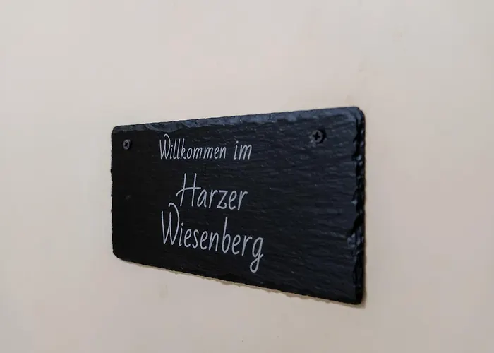 FeWo Harzer Wiesenberg, bis zu 2 Hunde willkommen!