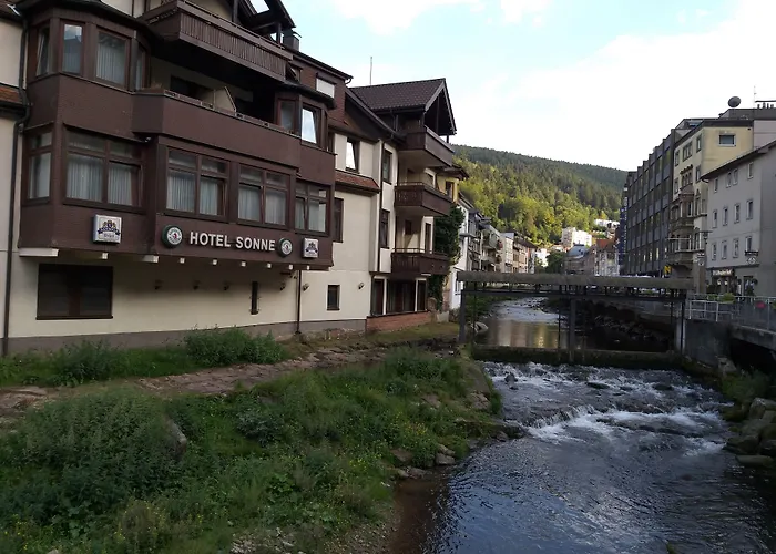 Vinami-Sonne Hotel