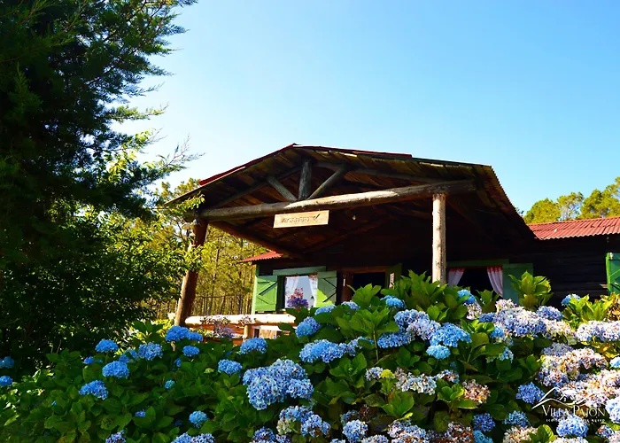 Villa Pajon Eco Lodge