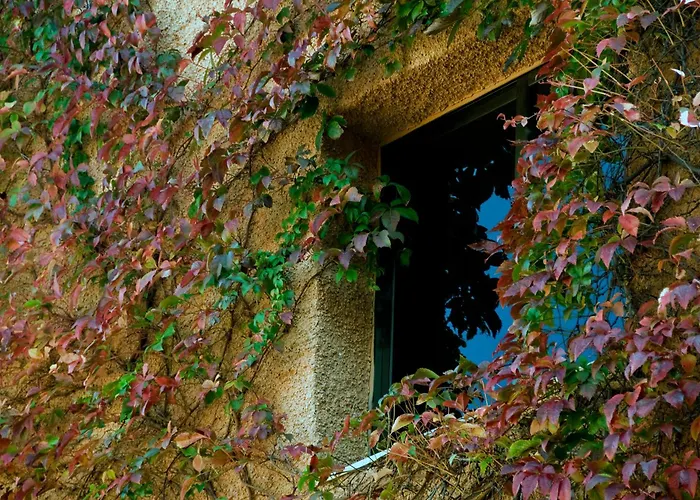 Porcel Alixares