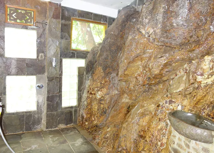 Hotel Orangutan
