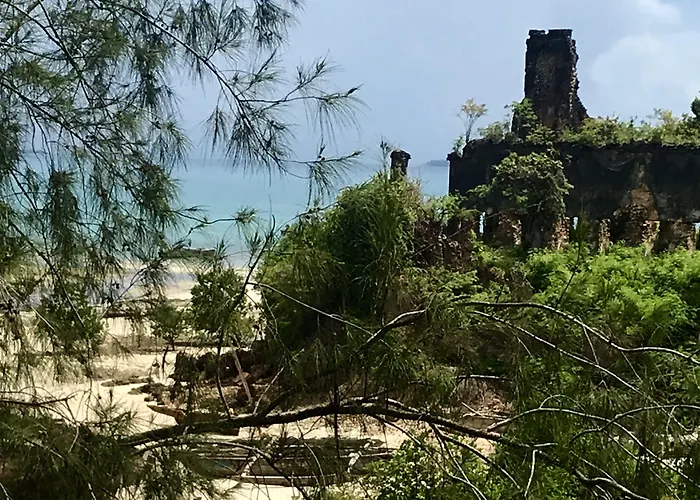 Mangrove Lodge