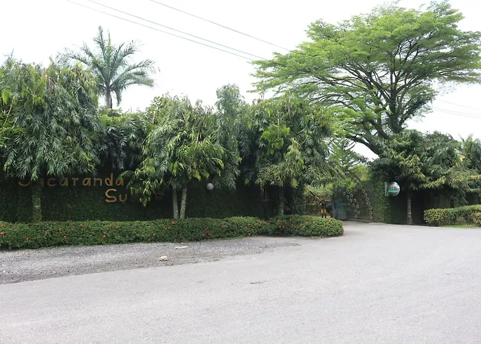 Jacaranda Suites