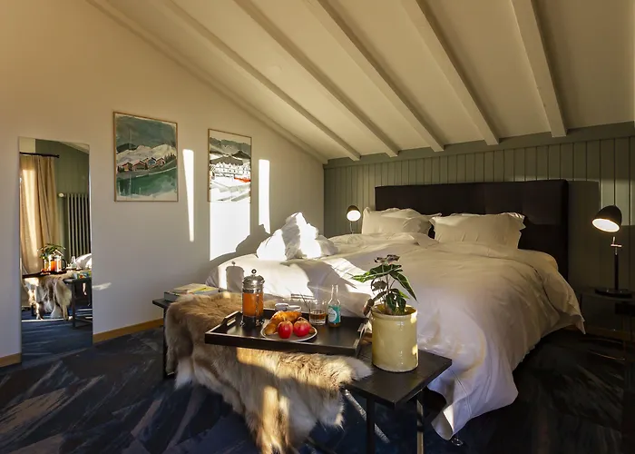 Shed Hotel