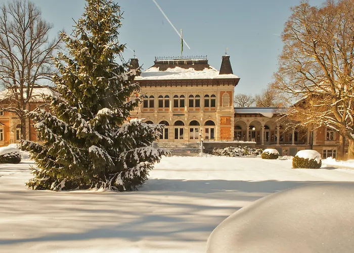 Hotel König Albert
