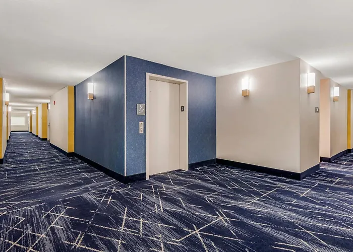 Comfort Inn & Suites Clemson - University Area