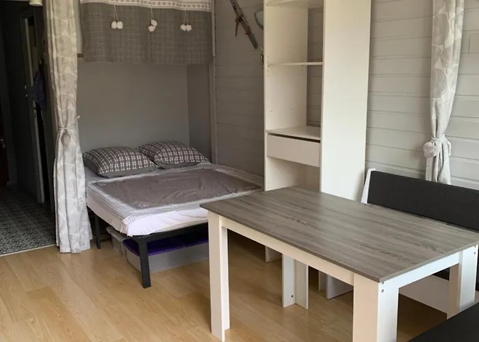 Avec Balcon, Au Pied Des Pistes Et Randos