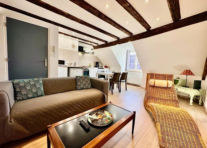 L'Ours De Colmar - Appartements En Centre Ville