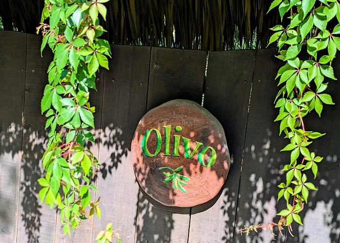 Posada Olivo