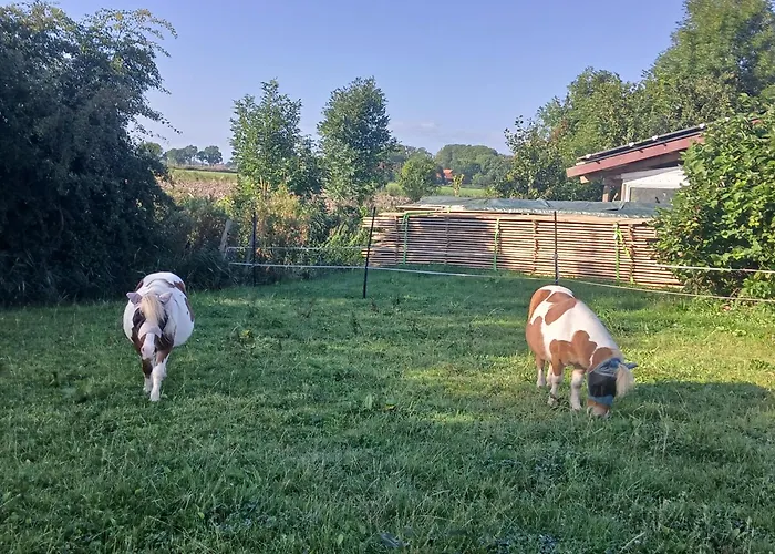 Ferien- und Pferdehof Egelkraut Feriendomizil am Meer