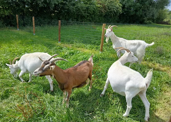 Ferien- und Pferdehof Egelkraut Feriendomizil am Meer