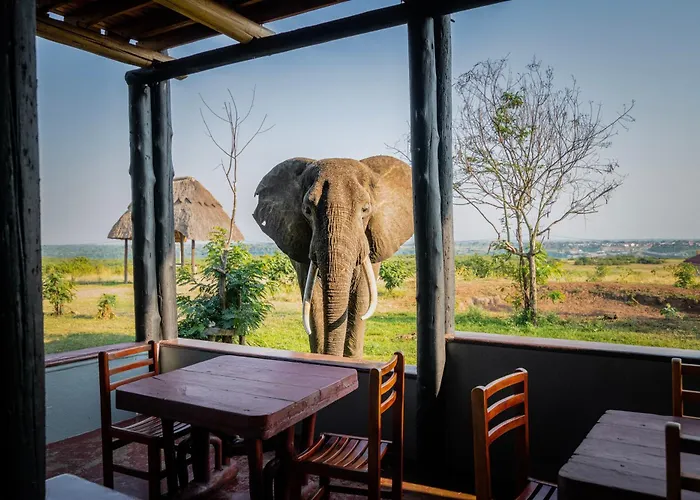 Enshama Game Lodge And Campsite