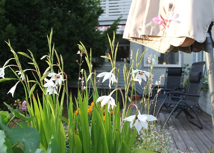 Hotell Zlafen Bed & Breakfast