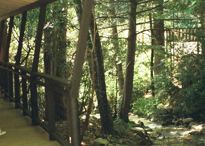 Route 19 Inn