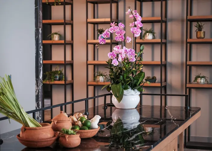 Luviaf Quy Nhon Hotel