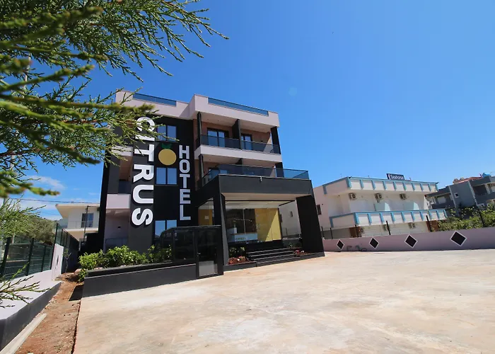 Hotel Citrus