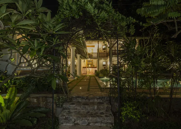 Bilin Tree House
