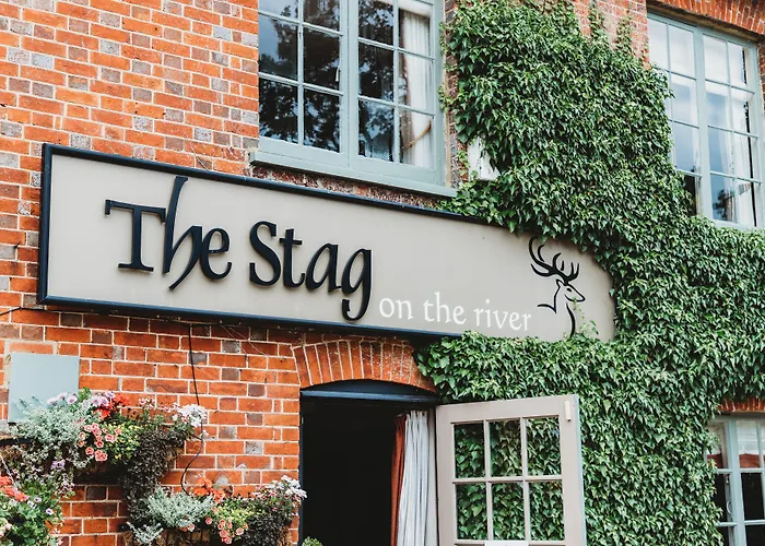 The Stag On The River