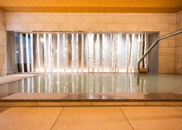 Tabino Hotel Lit Matsumoto Milky White Onsen