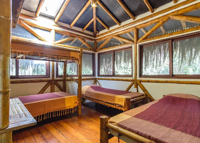 Universo Pol Bamboo Hostel
