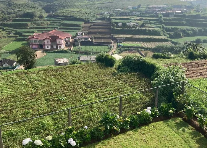 Ivy Home