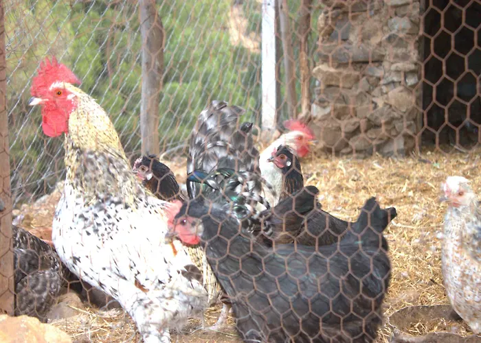 Ourika Atlas Tigmi
