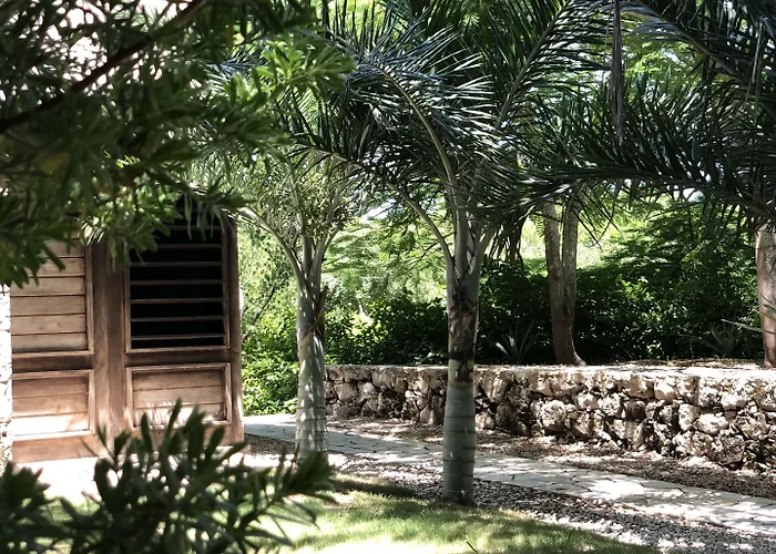 Club De Patos