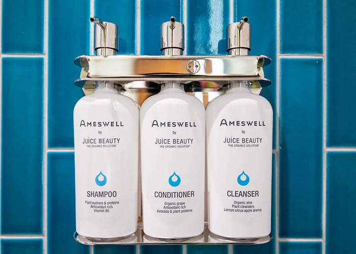 The Ameswell Hotel