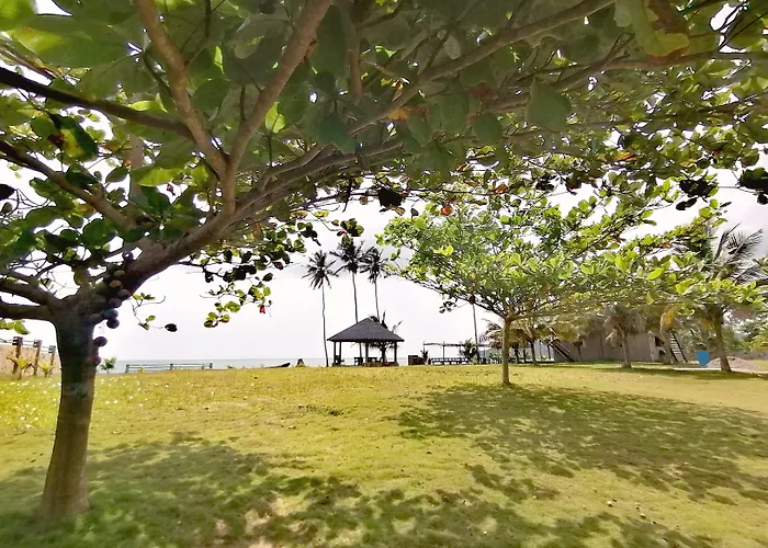 Afro Beach Eco Resort Butre