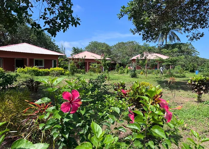 Bij Club