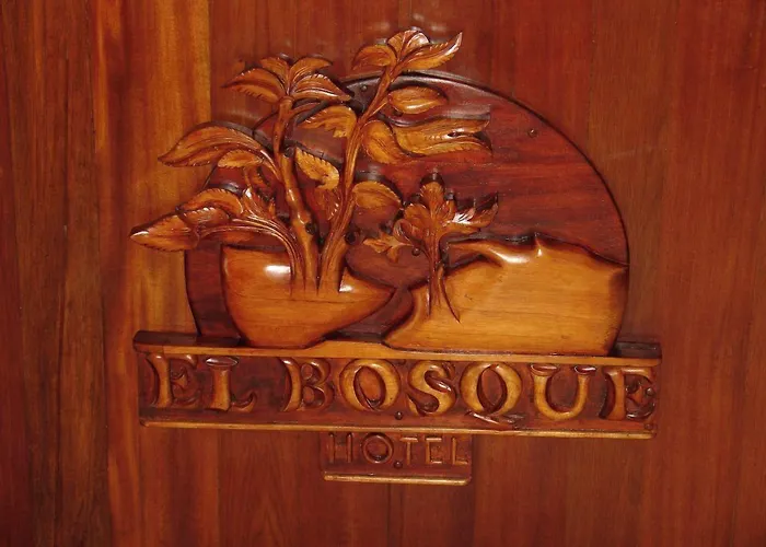 Hotel El Bosque