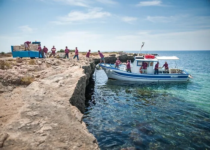 Calamoni Di Favignana