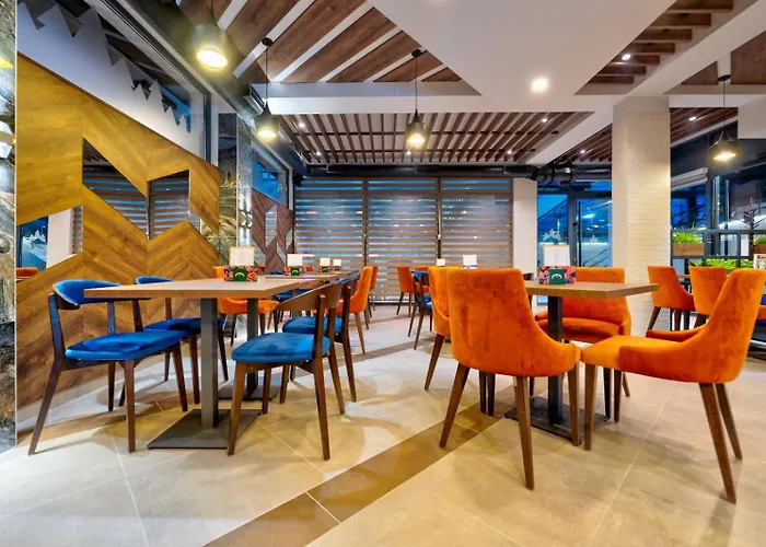 Tomy Forest Cigar Bar