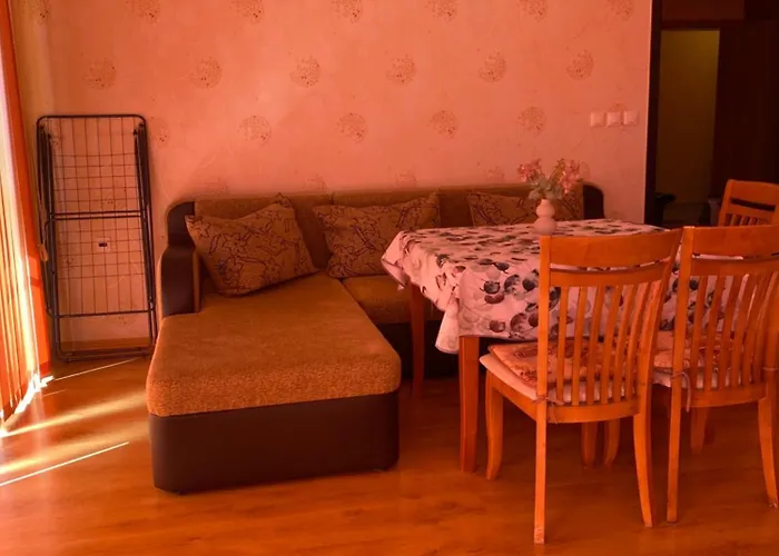 Sunny Home 2