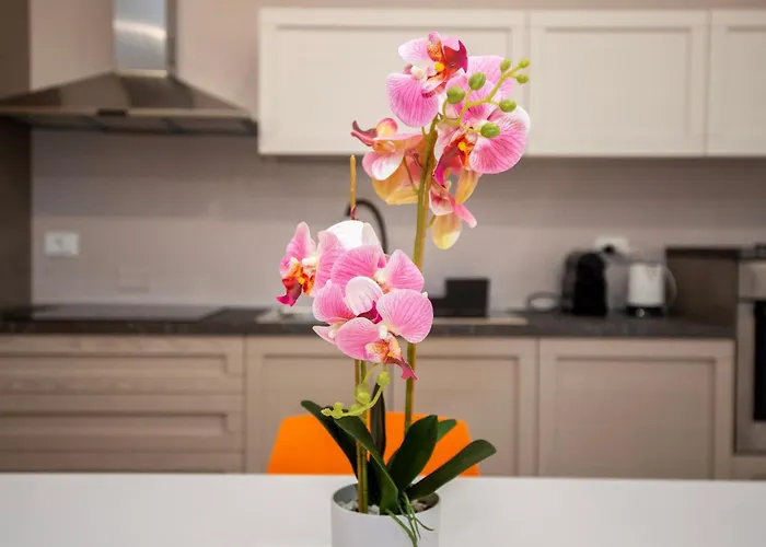 L'Orchidea