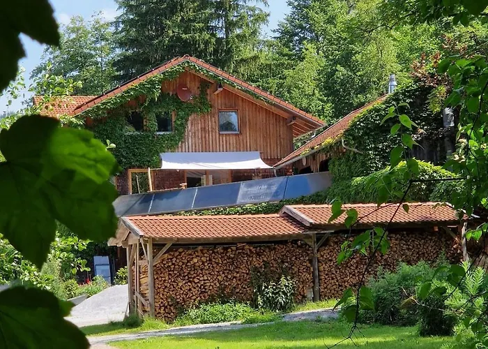 Waldbach-Oase
