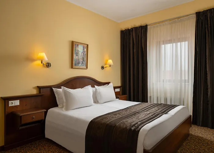 Hotel Leul De Aur