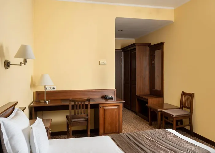 Hotel Leul De Aur